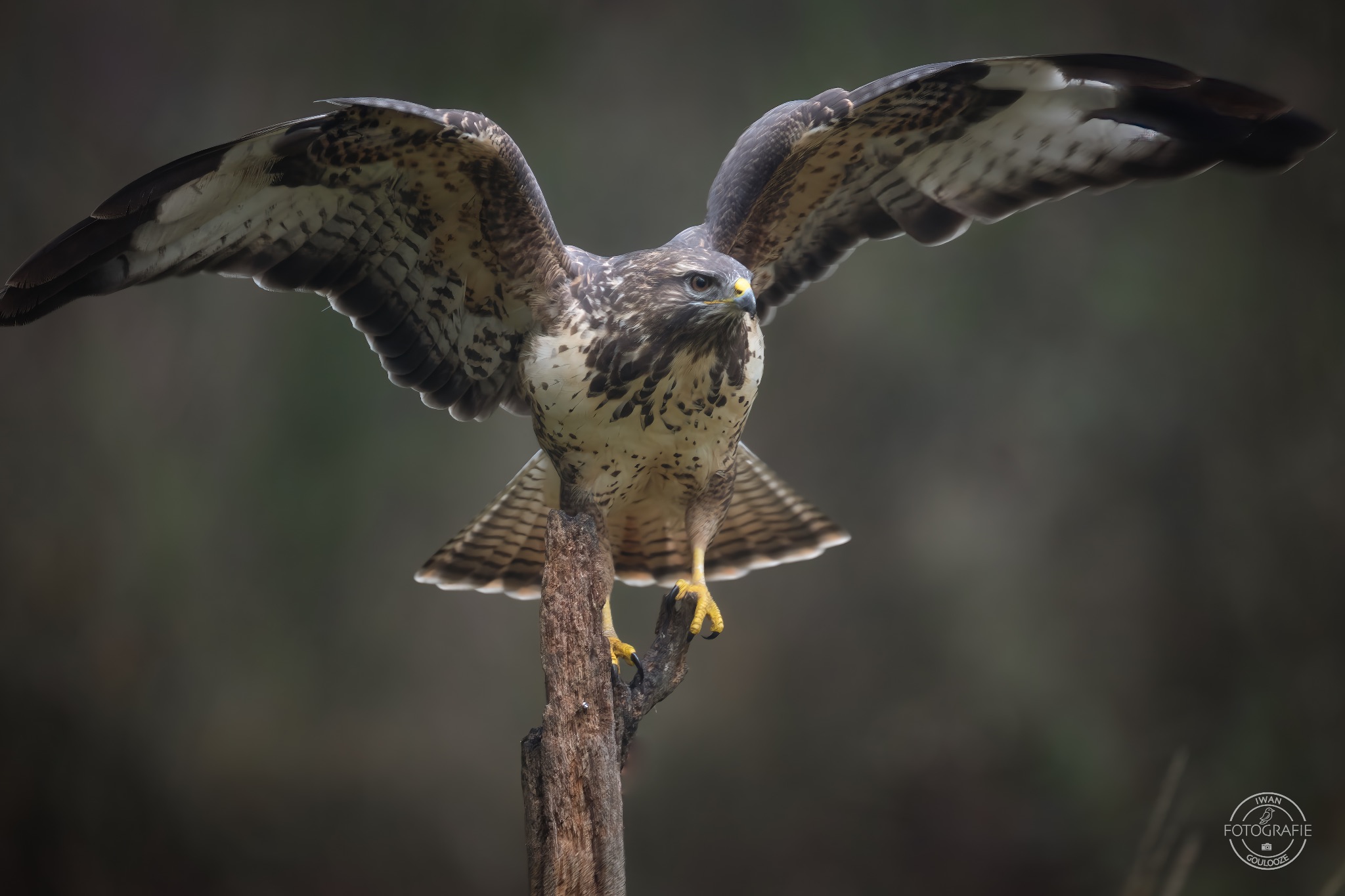 23 oktober 2022 093009 1R2A8436 bewerkt bewerkt 2